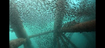 ドロップイン 沖縄に投稿された画像（2025/11/24）