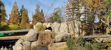 恩賜上野動物園に投稿された画像（2025/11/24）