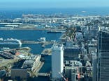 横浜ランドマークタワー 69階展望フロア スカイガーデンに投稿された画像（2025/11/24）