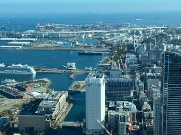 横浜ランドマークタワー 69階展望フロア スカイガーデンに投稿された画像（2025/11/24）