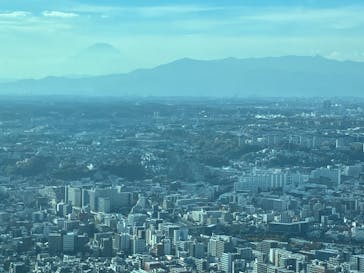 横浜ランドマークタワー 69階展望フロア スカイガーデンに投稿された画像（2025/11/24）
