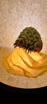 金曜ロードショーとジブリ展（静岡展）に投稿された画像（2025/11/24）