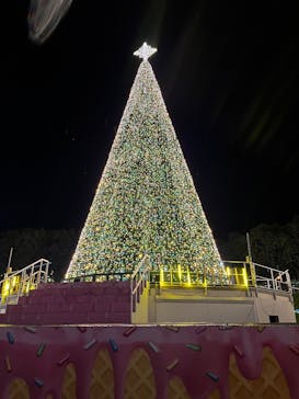 レオマリゾートに投稿された画像（2025/11/24）