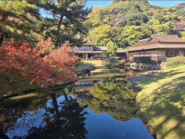 三溪園に投稿された画像（2025/11/24）