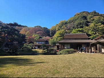 三溪園に投稿された画像（2025/11/24）