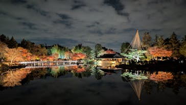 国営昭和記念公園 秋の夜散歩に投稿された画像（2025/11/24）