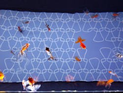 すみだ水族館に投稿された画像（2025/11/24）