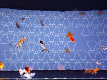 すみだ水族館に投稿された画像（2025/11/24）