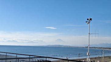 新江ノ島水族館に投稿された画像（2025/11/24）