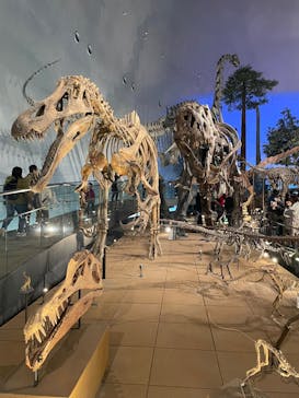 福井県立恐竜博物館に投稿された画像（2025/11/24）