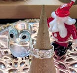 体験工房ギャラリー中 長居公園教室に投稿された画像（2025/11/24）