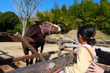 しろとり動物園に投稿された画像（2025/11/24）