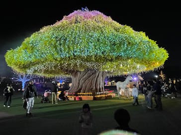 東京メガイルミに投稿された画像（2025/11/24）