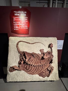 特別展「大絶滅展―生命史のビッグファイブ」に投稿された画像（2025/11/24）