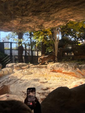 恩賜上野動物園に投稿された画像（2025/11/24）