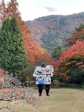 彫刻の森美術館に投稿された画像（2025/11/24）