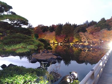 国営昭和記念公園 秋の夜散歩に投稿された画像（2025/11/24）