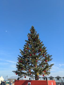 Christmas Market in 横浜赤レンガ倉庫 2025に投稿された画像（2025/11/24）
