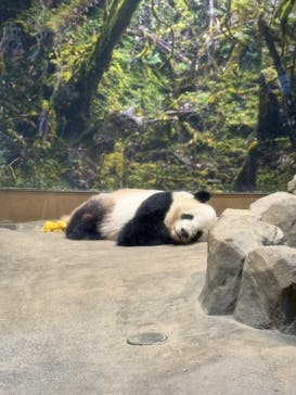 恩賜上野動物園に投稿された画像（2025/11/24）