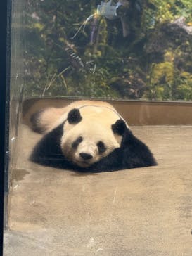 恩賜上野動物園に投稿された画像（2025/11/24）