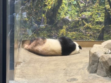 恩賜上野動物園に投稿された画像（2025/11/24）