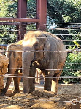 恩賜上野動物園に投稿された画像（2025/11/24）