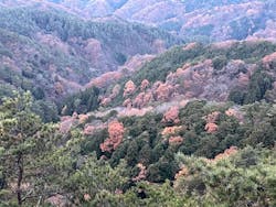 昇仙峡ロープウェイに投稿された画像（2025/11/24）