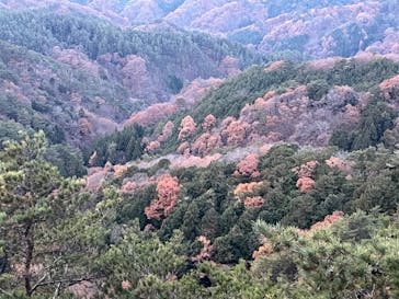 昇仙峡ロープウェイに投稿された画像（2025/11/24）