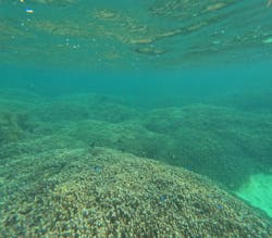 石垣島 ADVENTURE PiPi（イシガキジマアドベンチャーピピ）に投稿された画像（2025/11/24）