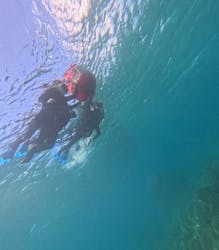 石垣島 ADVENTURE PiPi（イシガキジマアドベンチャーピピ）に投稿された画像（2025/11/24）