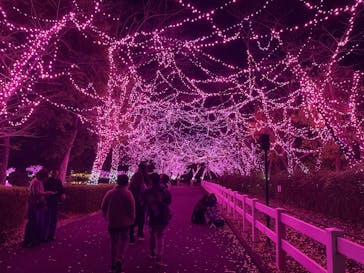 東武動物公園に投稿された画像（2025/11/24）