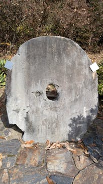 野外民族博物館 リトルワールドに投稿された画像（2025/11/24）