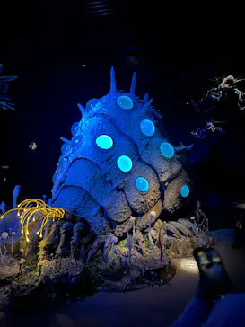 金曜ロードショーとジブリ展（静岡展）に投稿された画像（2025/11/24）