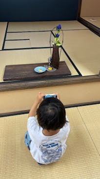 茶禅に投稿された画像（2025/11/24）