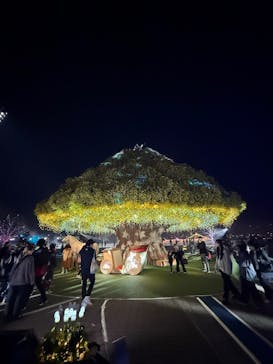 東京メガイルミに投稿された画像（2025/11/24）