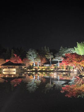 国営昭和記念公園 秋の夜散歩に投稿された画像（2025/11/24）