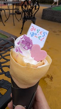 グリーンランドに投稿された画像（2025/11/24）