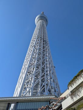 東京スカイツリーに投稿された画像（2025/11/24）