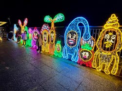 アクロス福岡イルミネーションに投稿された画像（2025/11/24）