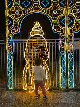 アクロス福岡イルミネーションに投稿された画像（2025/11/24）