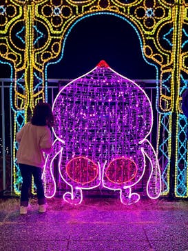 アクロス福岡イルミネーションに投稿された画像（2025/11/24）