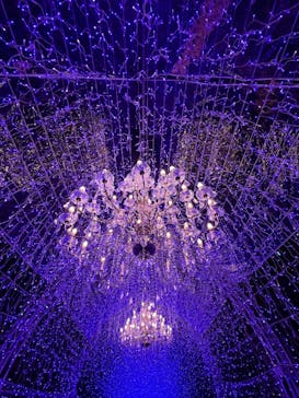 江の島シーキャンドルに投稿された画像（2025/11/24）