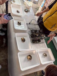 真珠工房 真珠の里に投稿された画像（2025/11/24）