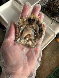 真珠工房 真珠の里に投稿された画像（2025/11/24）