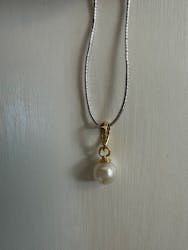 真珠工房 真珠の里に投稿された画像（2025/11/24）