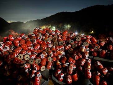 勝尾寺に投稿された画像（2025/11/24）