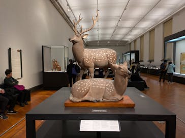 特別展「運慶 祈りの空間ー興福寺北円堂」（東京国立博物館　本館 特別５室）に投稿された画像（2025/11/24）