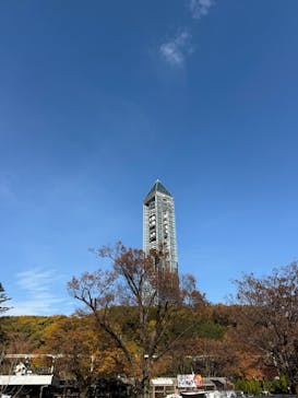 名古屋市東山動植物園に投稿された画像（2025/11/24）