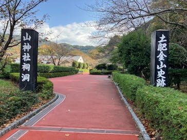 土肥金山に投稿された画像（2025/11/24）