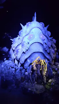 金曜ロードショーとジブリ展（静岡展）に投稿された画像（2025/11/24）